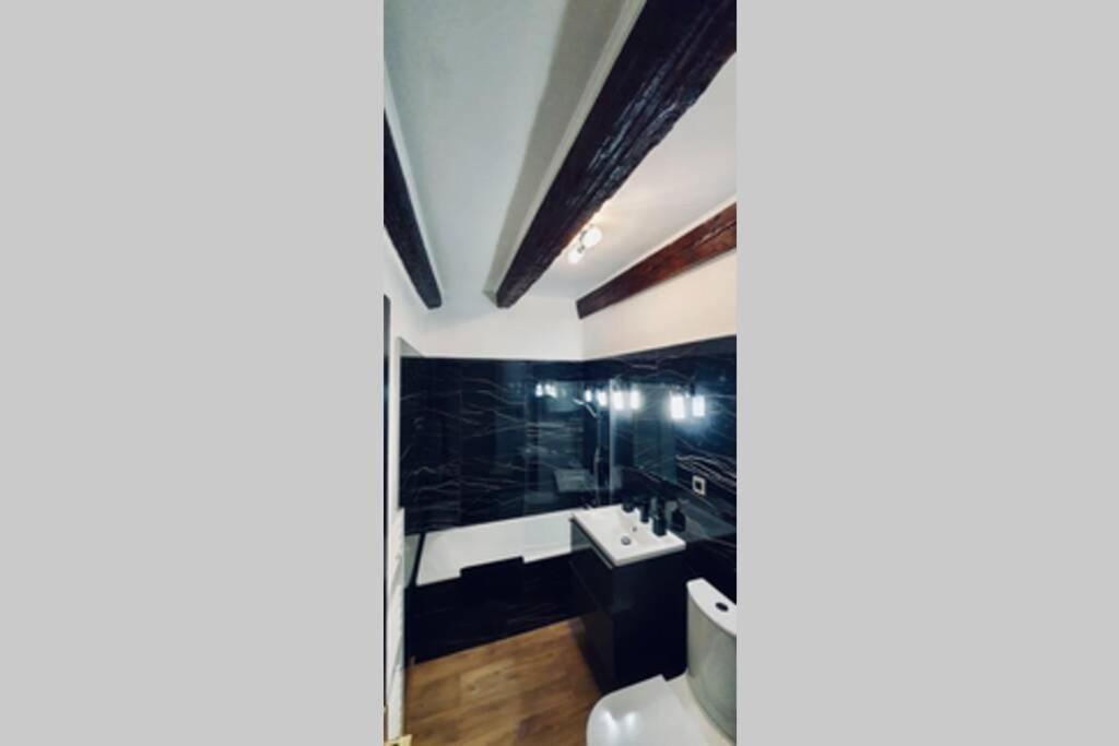 Le Carnot 2 Etoiles Hypercentre Vieille Ville Аннесі Екстер'єр фото